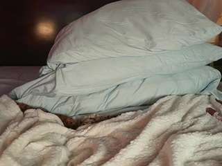 katyerave webcam model stream image