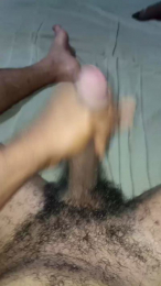 Negocavalo webcam model stream image