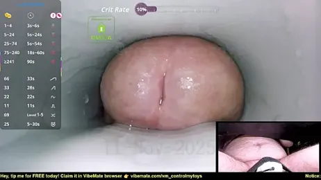 controlmytoys webcam model stream image