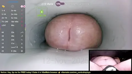 controlmytoys webcam model stream image