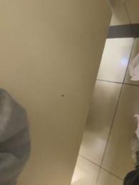 mxt_ppss webcam model stream image