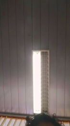 Valenlio_Por webcam model stream image