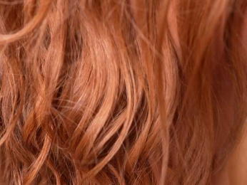 Saryhott webcam model stream image