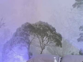 axel_draven webcam chaturbate model stream image