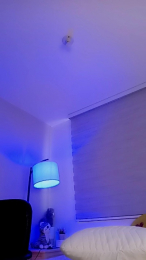 MonyCat_ webcam model stream image