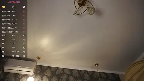 SibleyAllston webcam model stream image