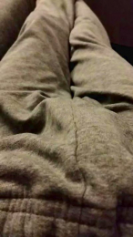 Lizard3 webcam model stream image