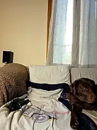 SpiceLea webcam model stream image