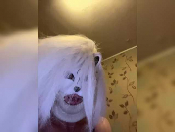 pietstop webcam model stream image