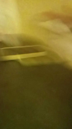 ITS_JADE webcam model stream image