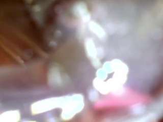 shannon-kane webcam model stream image