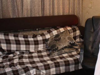 _Sunshine_girls webcam bongacams model stream image