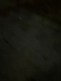 Foxfoxfox4 webcam stripchat model stream image