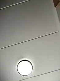 Neelo-Smith webcam model stream image