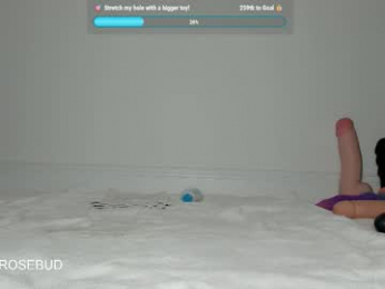 mickeyrosebud webcam chaturbate model stream image