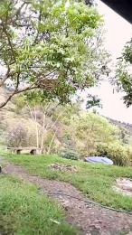 Remote_live webcam model stream image