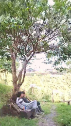 Remote_live webcam model stream image