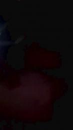 DuDOWN6960 webcam model stream image