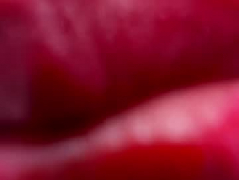 camiila_osorio webcam model stream image