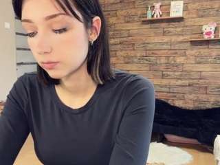 paulseidlitz webcam model stream image