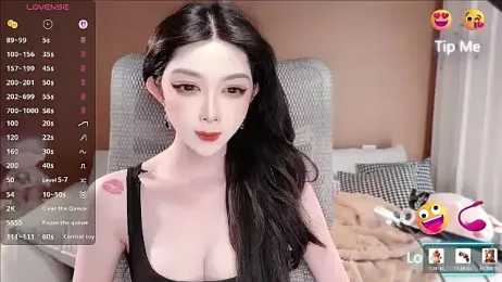 vyizh- webcam model stream image