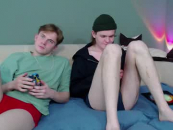 2nc_ webcam model stream image