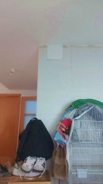 nano381 webcam model stream image