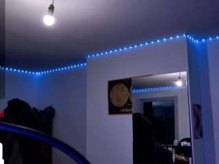 musculus webcam model stream image