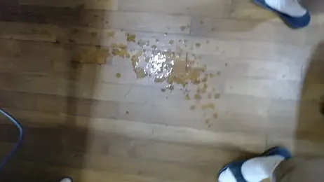 16hornydog webcam model stream image