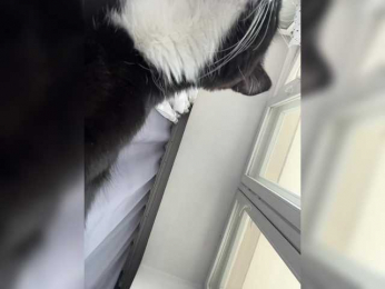 -Hennessy- webcam model stream image