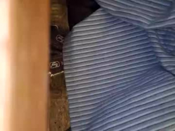 dvelope webcam model stream image