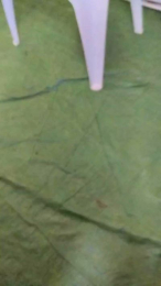 Petitebombe34 webcam cam4 model stream image