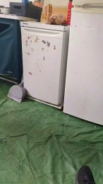 Petitebombe34 webcam model stream image