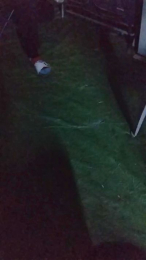 Petitebombe34 webcam model stream image