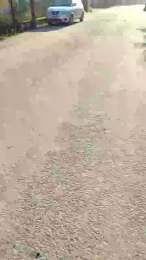 luxxuriax webcam model stream image