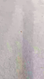 luxxuriax webcam model stream image