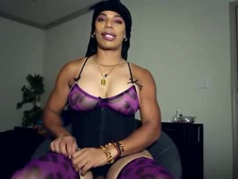 sashastrokes webcam model stream image