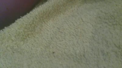 Lilidelice webcam model stream image