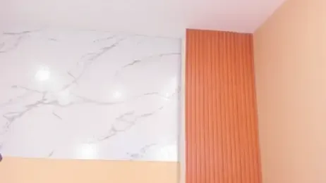 dolly_walker webcam model stream image