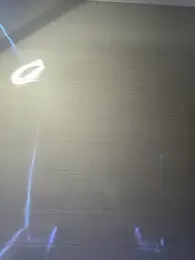 Paloma__LS webcam stripchat model stream image