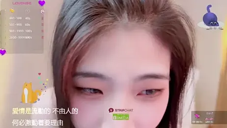 Vaidurya-Yolo webcam model stream image