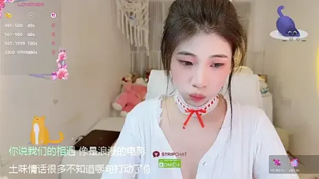 Vaidurya-Yolo webcam model stream image