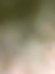 fede_bigcock webcam model stream image