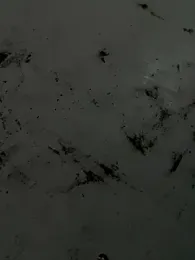 koreansubbottom03 webcam model stream image