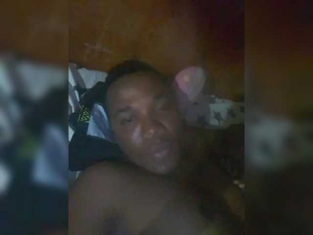 lilo-stich webcam model stream image