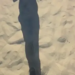 Trucker_Hunter webcam model stream image