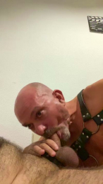 daddybearmadri5 webcam cam4 model stream image