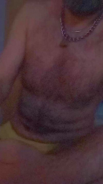 daddybearmadri5 webcam cam4 model stream image