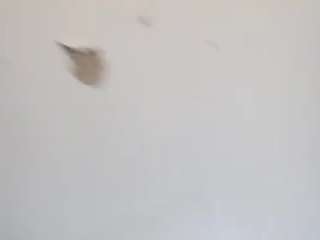 deebabyy85 webcam camsoda model stream image