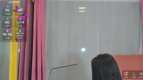 Sarabecker webcam model stream image